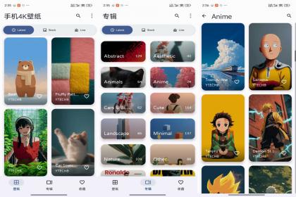 手机4K壁纸-手机美化（解锁VIP功能）-颜夕资源网-第14张图片