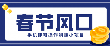 快手极速版春节推广风口，一部手机就能上手，拉新20元/人平台助力躺赚小项目-颜夕资源网-第14张图片