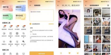 视频下载去水印22支持全网主流平台秒解析解锁会员-颜夕资源网-第14张图片