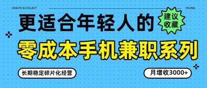 零成本手机兼职系列，长期稳定碎片化经营，月增收3000+-颜夕资源网-第14张图片
