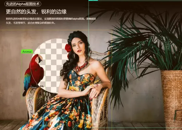 智能抠图 Matting2.6 一键快速抠图 PS 修图影楼设计 AI 抠图工具-颜夕资源网-第16张图片