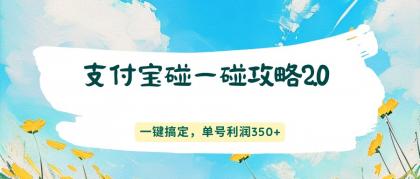支付宝碰一碰攻略2.0，一键搞定，单号利润350+-颜夕资源网-第14张图片