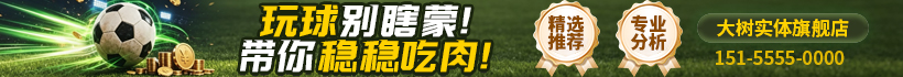IObit Driver Booster 驱动程序更新工具 v13.4.0.234 解锁专业版-颜夕资源网-第8张图片