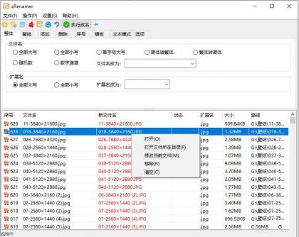 zRenamer批量改名工具中文版 v2.0.0绿色版-颜夕资源网-第19张图片
